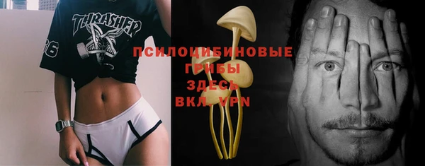 MDMA Горнозаводск