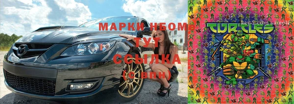 гидропоника Горняк