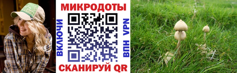 Галлюциногенные грибы Psilocybe KRAKEN ссылка Новый Оскол наркошоп